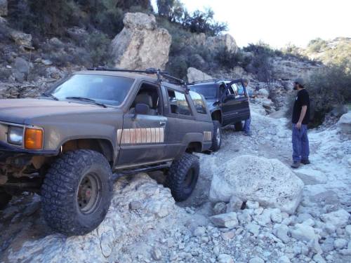 10959560_10153109161097460_9105435898957138307_n