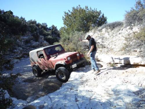 10968371_10153109158307460_8440805953071134003_n