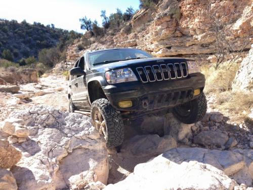 10984270_10153618819783135_8598108388238881571_n