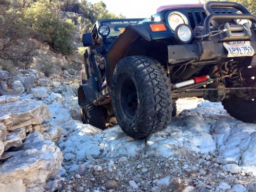 10987716_10153618825058135_7940954031432242200_n