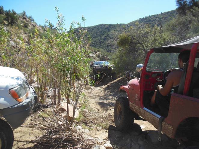 12109990_10203489400395349_4790987922782639397_o